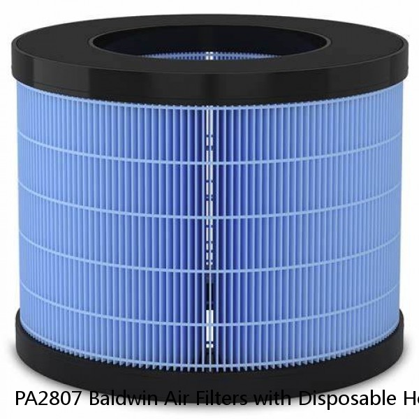 PA2807 Baldwin Air Filters with Disposable Housings
