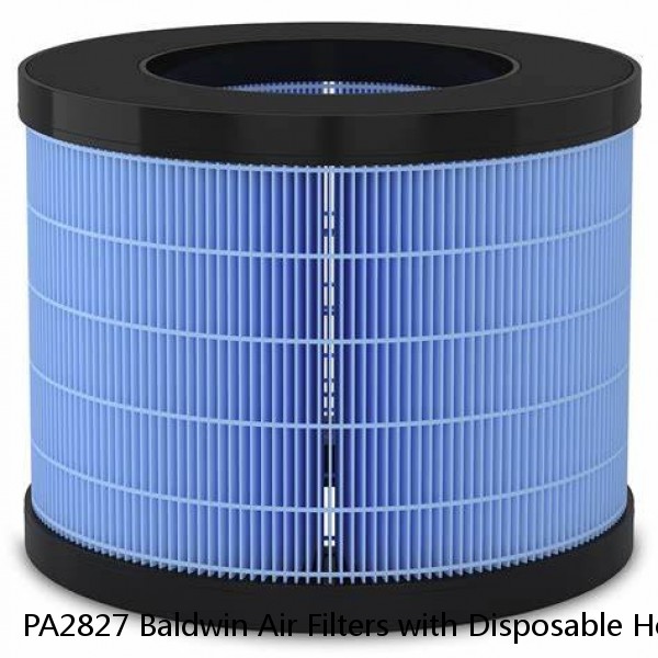 PA2827 Baldwin Air Filters with Disposable Housings