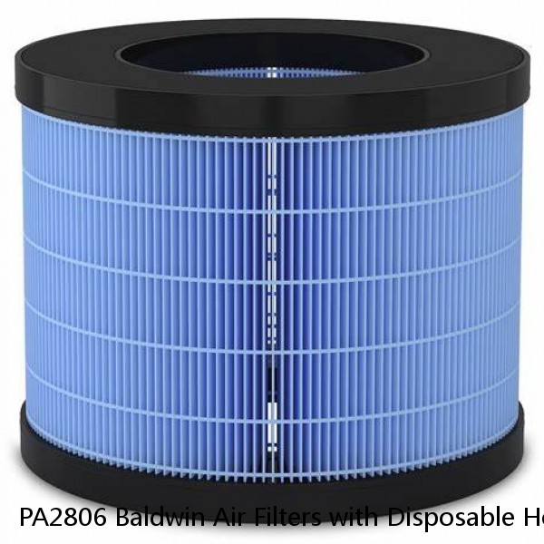 PA2806 Baldwin Air Filters with Disposable Housings