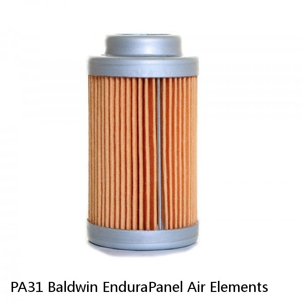 PA31 Baldwin EnduraPanel Air Elements