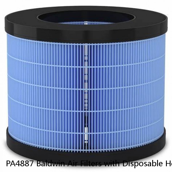 PA4887 Baldwin Air Filters with Disposable Housings #1 image