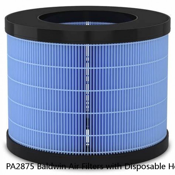 PA2875 Baldwin Air Filters with Disposable Housings #1 image